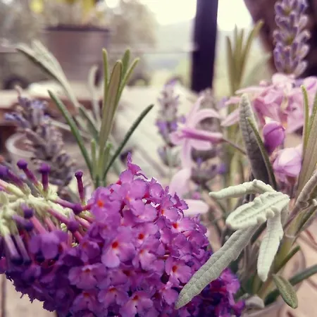 Il Giaggiolo Tatil Evi *