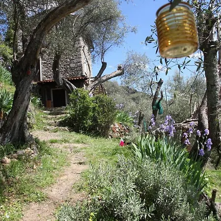 Il Giaggiolo Tatil Evi *