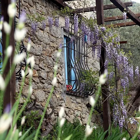 Il Giaggiolo Camaiore