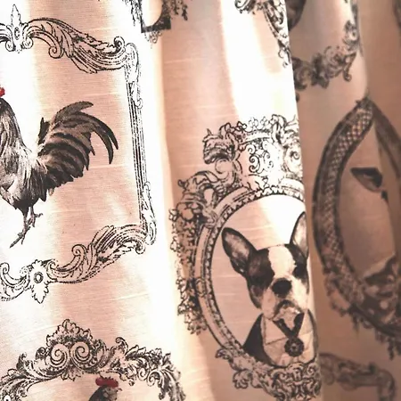 Il Giaggiolo Camaiore