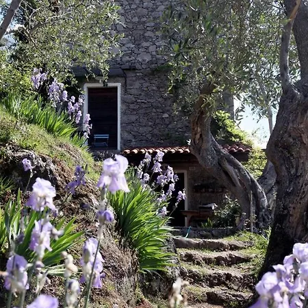 Il Giaggiolo