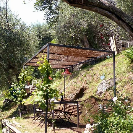 Il Giaggiolo Camaiore
