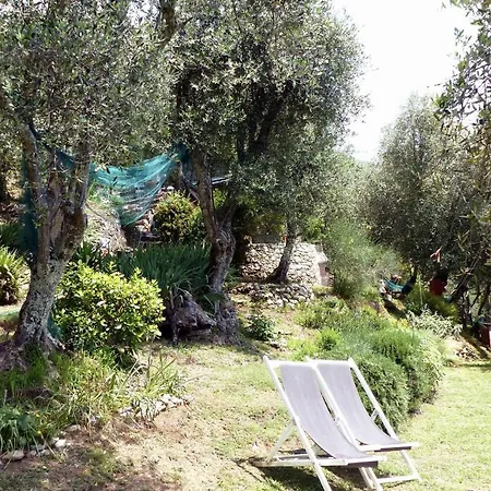 Il Giaggiolo *